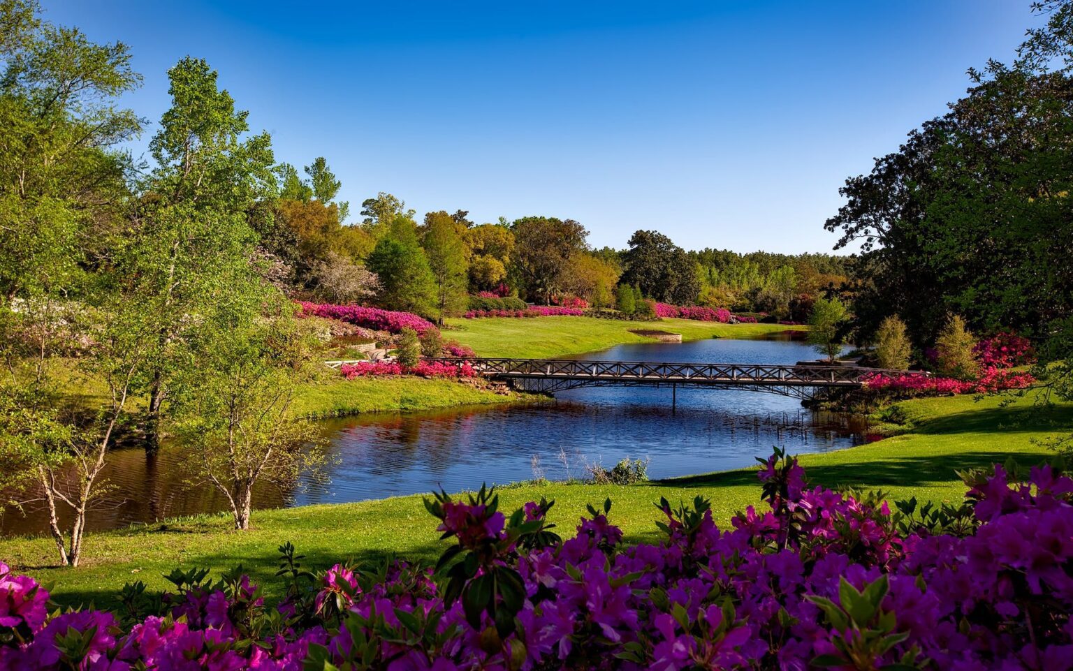 bellingrath gardens alabama landscape scenic 158063.jpegautocompresscstinysrgbdpr2h650w940dldosya