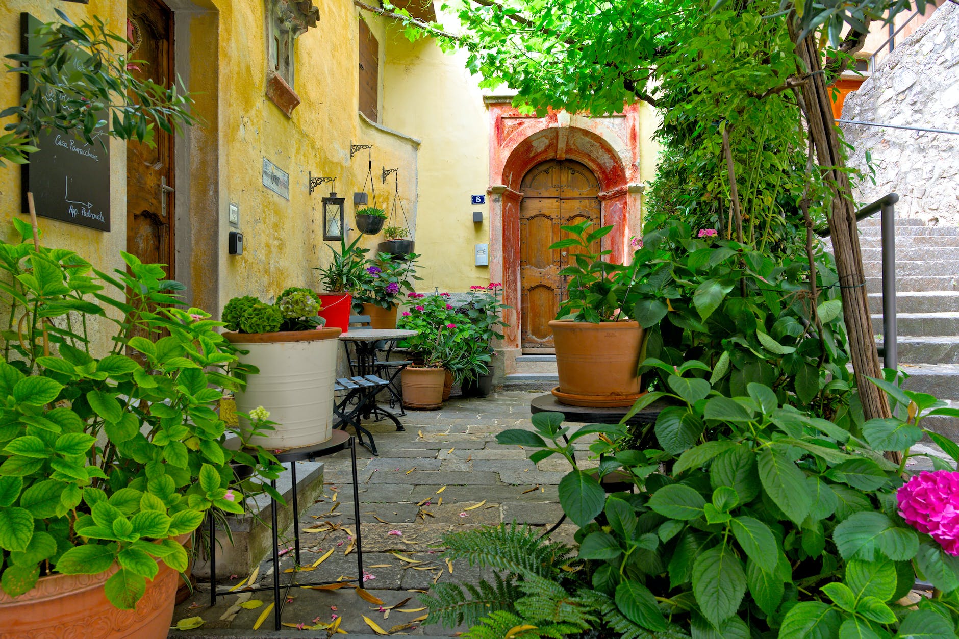 "Urban Gardening Tipps Für Erfolgreiches Gärtnern In Der Stadt" (60