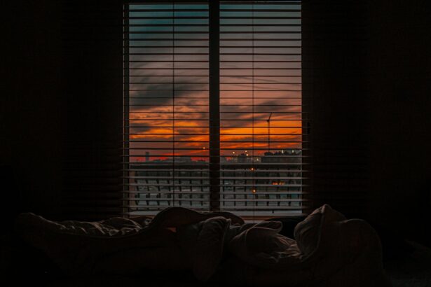 pexels photo 3337209.jpegautocompresscstinysrgbdpr2h650w940dldosya