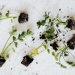 pexels photo 4202258.jpegautocompresscstinysrgbdpr2h650w940dldosya