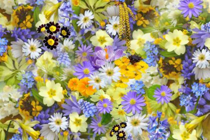 spring flowers flowers collage floral 68507.jpegautocompresscstinysrgbdpr2h650w940dldosya