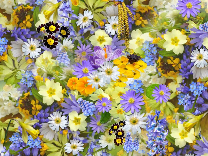 spring flowers flowers collage floral 68507.jpegautocompresscstinysrgbdpr2h650w940dldosya