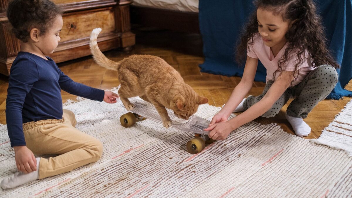 teppich kinderzimmer schadstofffrei