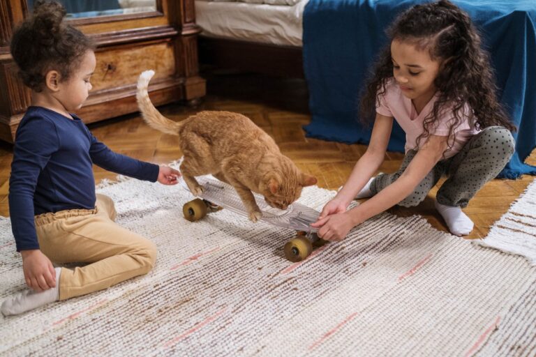 teppich kinderzimmer schadstofffrei