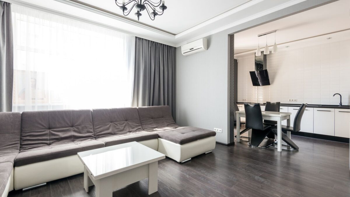 Eingerichtetes Wohnzimmer mit Sofa, Regal und Pflanzen bei Tageslicht